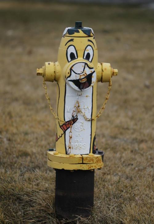 All but one fire hydrant is painted in Morris, Manitoba. Photo project. April 30, 2013  BORIS MINKEVICH / WINNIPEG FREE PRESS
