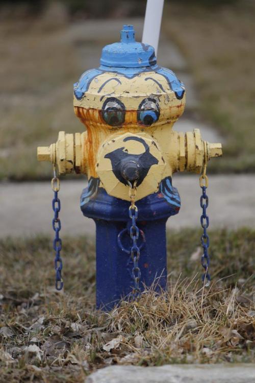 All but one fire hydrant is painted in Morris, Manitoba. Photo project. April 30, 2013  BORIS MINKEVICH / WINNIPEG FREE PRESS