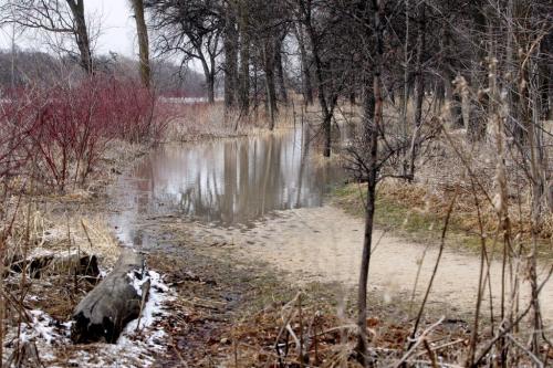 The bike and pedestrian pathway along Churchill Drive leads into the Red River that has spilled over its bank flooding that area of the park. Standup photo  Photography Ruth Bonneville Ruth Bonneville /  Winnipeg Free Press)