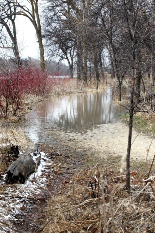 The bike and pedestrian pathway along Churchill Drive leads into the Red River that has spilled over its bank flooding that area of the park. Standup photo  Photography Ruth Bonneville Ruth Bonneville /  Winnipeg Free Press)