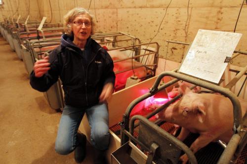 Margaret Rempel is a single, female hog farmer, since her husband died a decade ago. Her farm is near Landmark, Manitoba. Various photos of her on the farm. May 1, 2013  BORIS MINKEVICH / WINNIPEG FREE PRESS  Bill Redekop story