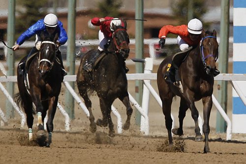 May 5, 2013 - 130505  -  Tori Gandia wins on Unbridled Thoughts (R) at Assiniboia Downs Sunday, May 5, 2013.  John Woods / Winnipeg Free Press