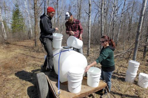 Birch syrup farm. Rory and Glenda Hart run the place just south of Grand Beach. Some workers harvest the sap. May 8, 2013  BORIS MINKEVICH / WINNIPEG FREE PRESS