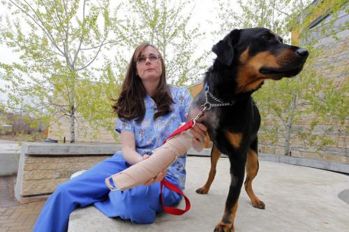 Dr. Erika Anseeuw with one-year-old Rottweiler cross dog with multiple major injuries found and brought to WHS, now just has a cast on his leg. Director of Animal Health Dr. Erika Anseeuw fused his wrist joint to provide him with three good legs to walk on. Today, the only sign of his previous injuries is a cast on his right front leg.May 17, 2013  BORIS MINKEVICH / WINNIPEG FREE PRESS