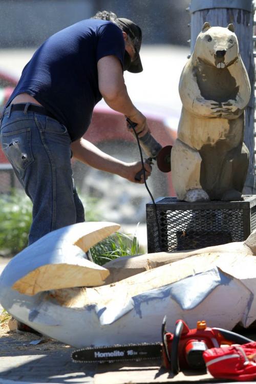 Dwayne Ball carves some animals on Sutherland in front of the Manitoba Indigenous Cultural Education Centre. The carvings were done by some other artists but he is refurbishing them and adding detail and finishing. May 22, 2013  BORIS MINKEVICH / WINNIPEG FREE PRESS