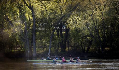 In the shade of giant Cottonwoods with new leaves, members of the WInnipeg Rowing Club enjoy a perfect evening on the Red River Thursday. STAND-UP May 23, 2013 - (Phil Hossack / Winnipeg Free Press)