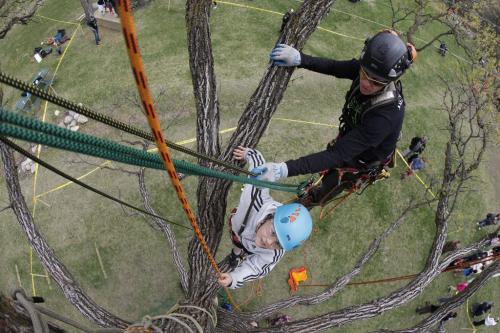 May 25, 2013 - 130525  - Liam Tourand (C) climbs a tree with the help of volunteer Rob Knight (R) of Timberland Tree Service during the Arbor Day activities in Assiniboine Park in Winnipeg Saturday, May 25, 2013. John Woods / Winnipeg Free Press
