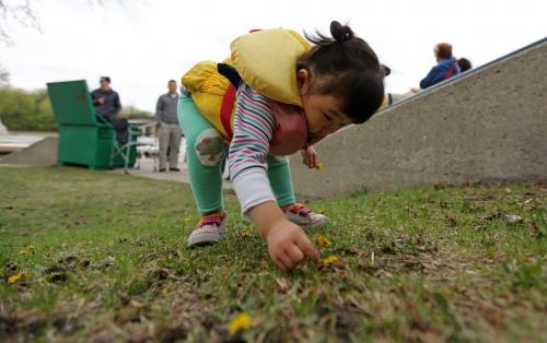 Hailey Rethmeier, 2, picking dandelions while waiting for a river boat tour at The Forks, Saturday, May 25, 2013. GPS Coordinates: 49.89N and -97.13W. For new section next week?? (TREVOR HAGAN/WINNIPEG FREE PRESS)