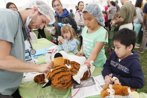 May 26, 2013 - 130526  - Angel Bartlett (10) looks on as Drew Assels, paramedic student volunteer, does some sugary on Tigger the bear at the Teddy Bear's Picnic at Assiniboine Park in Winnipeg Sunday, May 26, 2013. John Woods / Winnipeg Free Press