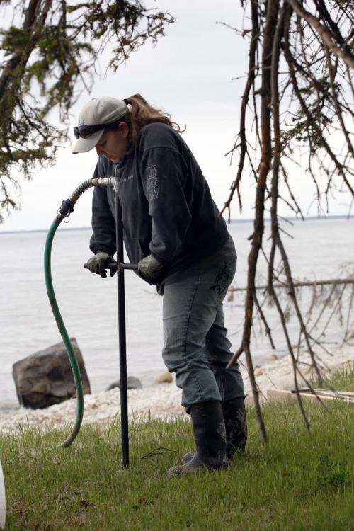 Audrey Boitson  used high pressure hose to drill down  on bank to plant willow branches  above the gravel beach . Hnausa , just north of Gimli regarding the use of willow brach experiment buried in the  beach sand  that eventually roots and creates a plant barrier to prevent wave  erosion from Lake Winnipeg on cottage properties . KEN GIGLIOTTI / May 27  2013 / WINNIPEG FREE PRESS .