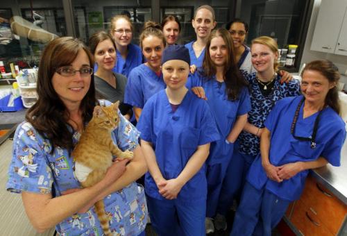 Winnipeg Humane Society animal hospital- Day in the Life photo page project. Dr. Erika Anseeuw, left, heads the team in the hospital and holds a cat. May 21, 2013  BORIS MINKEVICH / WINNIPEG FREE PRESS