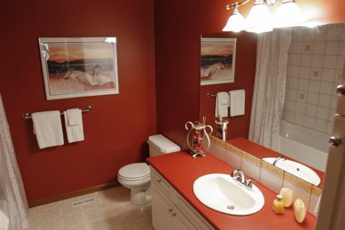 (Basement bathroom) This Grand Pointe home, located at 246 Dymar Way just outside city limits, went on the market this morning. Tuesday, June 4, 2013. (TODD LEWYS) (JESSICA BURTNICK/WINNIPEG FREE PRESS)