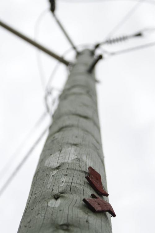 The arrows on this hydro pole (located on Dymar Way at Carriere Road in Grand Pointe, Man.) signify how high the water reached during the flood of 1997 in this area. Today, the area is considered to be safe from flooding. Tuesday, June 4, 2013. (TODD LEWYS) (JESSICA BURTNICK/WINNIPEG FREE PRESS)