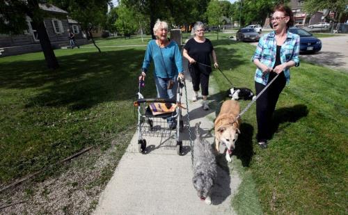 Left to right, Chris Burrows and her dog Zazzy, Roanna Hepburn w/Bentley, and Michelle Bruce with Gabe walk around Joe Zuken Park Thursday afternoon. See story. June 6, 2013 - (Phil Hossack / Winnipeg Free Press)