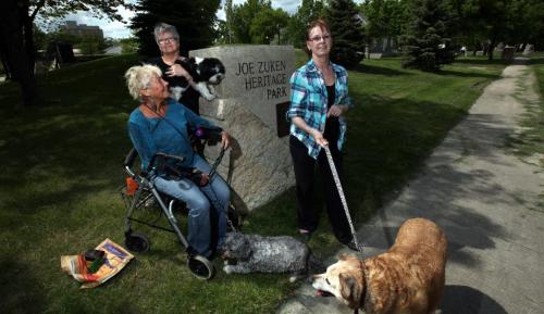 Left to right, Chris Burrows and her dog Zazzy, Roanna Hepburn w/Bentley, and Michelle Bruce with Gabe pose at Joe Zuken Park Thursday afternoon. See story. June 6, 2013 - (Phil Hossack / Winnipeg Free Press)