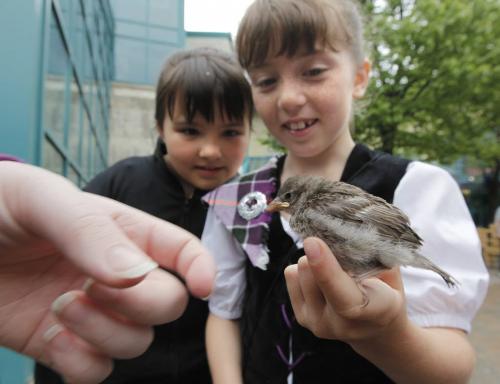 June 9, 2013 - 130609  - Linnea Anderson (7) (R) and Maeghan Goudie (7) check out a baby bird that fell out of it's nest at the Forks Sunday, June 9, 2013. John Woods / Winnipeg Free Press