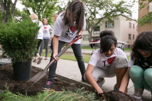 Students from Champlain School planted a butterfly garden outside the North Winds property management offices at Main St and Anderson Ave on Monday. Grade 6 students, from left, Lexi Chornoby, Faith Cruz and Netasha Cutlip.  130610 - Monday, June 10, 2013 - (Melissa Tait / Winnipeg Free Press)