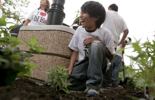 Students from Champlain School planted a butterfly garden outside the North Winds property management offices at Main St and Anderson Ave on Monday. Grade 6 student Carlos De Leon planting small shrub. 130610 - Monday, June 10, 2013 - (Melissa Tait / Winnipeg Free Press)