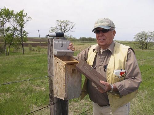 Herb Goulden opens a birdhouse to find four bluebird eggs inside. June 3 2013. Bill Redekop story / photo. Winnipeg Free Press.