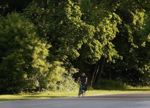 Stdup Weather  High +29 with a chance of a thunderstorm , a cyclist  rides on Wellington Cres. on as a bright sun start s to rise along the tree lined drive on a  Thursday morning  KEN GIGLIOTTI / JUNE 20 2013 / WINNIPEG FREE PRESS