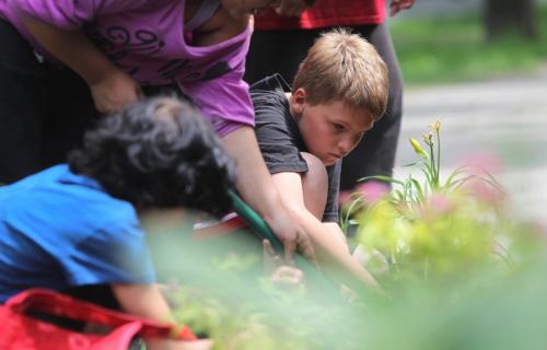 Grade 5 & 6 students from  Niji Mahkwa elementary school participate in North End renewal project  by planting flowers and in front of their school located in the inner city Thursday afternoon. Grade 5 student Ethan Pierra plants day lilies in garden in front of school.  Photography by Celine Bonneville Winnipeg Free Press June  20, 2013