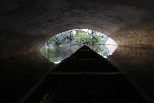 Trip down the Seine River from the Perimeter through St Vital and St. Boniface to  where it feeds into the Red River just north of the Forks.   Trip taken in early June 2013.  Heading  under the Provencher Street Bridge.  Photography by Ruth Bonneville Winnipeg Free Press Edited on June  20, 2013
GPS
49.895223, -97.109691
Provencher Bridge