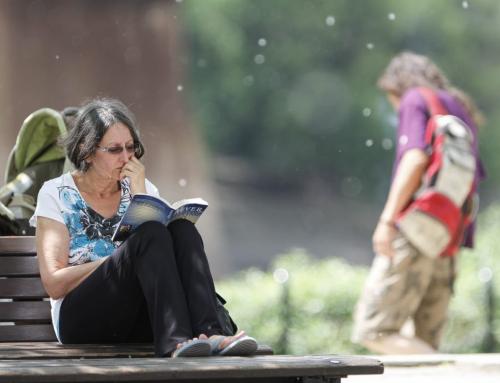 Lorraine Lavallee finds a peaceful park bench to read at The Forks on Saturday, June 22, 2013, amid floating seeds blowing in the breeze. (JESSICA BURTNICK/WINNIPEG FREE PRESS)