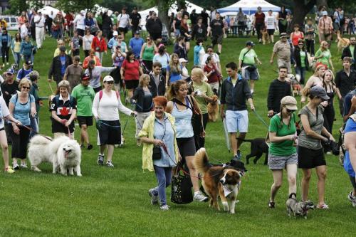 Hundreds of dogs and their owners walk together during Paws in Motion at Assiniboine Park. The event is Winnipeg Humane Society's biggest annual fundraiser. 130623 June 23, 2013 Mike Deal / Winnipeg Free Press