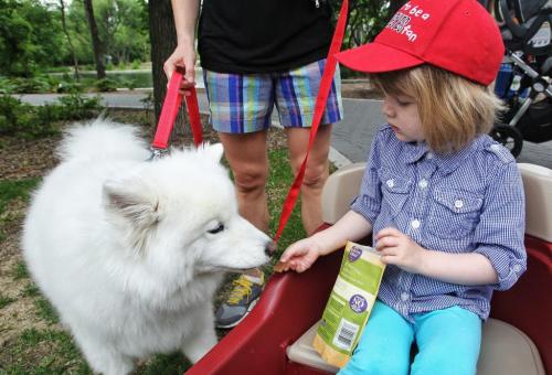 Maisie Manning, 3, gives Scarlet a treat during a little break under a tree while hundreds of dogs and their owners walked together during Paws in Motion at Assiniboine Park. The event is Winnipeg Humane Society's biggest annual fundraiser. 130623 June 23, 2013 Mike Deal / Winnipeg Free Press