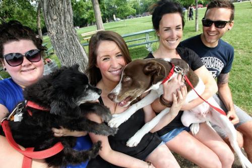 Birthday girl, Lindsay Wiltshire (second from left) wanted to spend the day at Paws in Motion, so, her friends (l-r) Darilyn Kuryk, Courtenay Winnemuller and Dave Winnemuller, and dogs Carl and MacLaren hung out and ate cake and walked together with hundreds of other dogs and their owners at Assiniboine Park. The event is Winnipeg Humane Society's biggest annual fundraiser. 130623 June 23, 2013 Mike Deal / Winnipeg Free Press