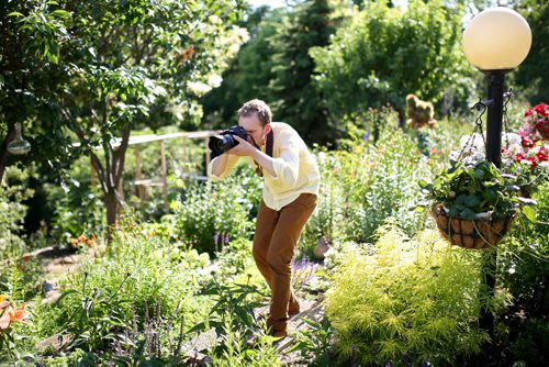 Brandon Sun 12012013 Artist Kevin Bertram takes photographs of flowers in the backyard garden of a home on the north hill in Brandon on Friday evening. (Tim Smith/Brandon Sun)