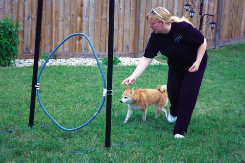 Canstar Community News July 10, 2013 - Miranda Jonasson of Active Paws leads nine-year-old Roxi through an agility course at her Transcona home. (DAN FALLOON/CANSTAR COMMUNITY NEWS)