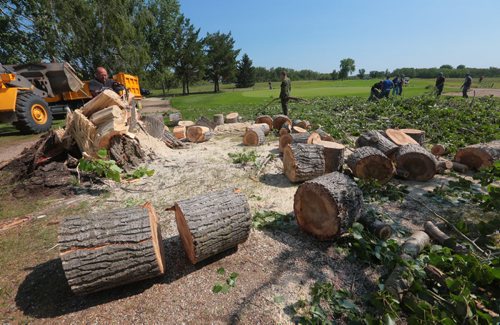 Brandon Sun Volunteers from the public and base personnel work together to clear the debris of fallen trees from the seventeenth hole of the Shilo Golf and Country Club on Friday morning. (Bruce Bumstead/Brandon Sun)