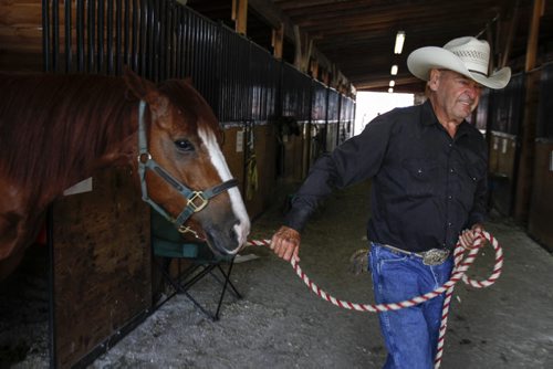 Bob Garrett of Beausejour, Man. leads Headcat, 5, out of the stable. He competes in cutting horse competitions across the country, using his horses to drive cattle. The Manitoba Stampede and Exhibition celebrates its 50th year this weekend. Friday, July 19, 2013. (JESSICA BURTNICK/WINNIPEG FREE PRESS)
