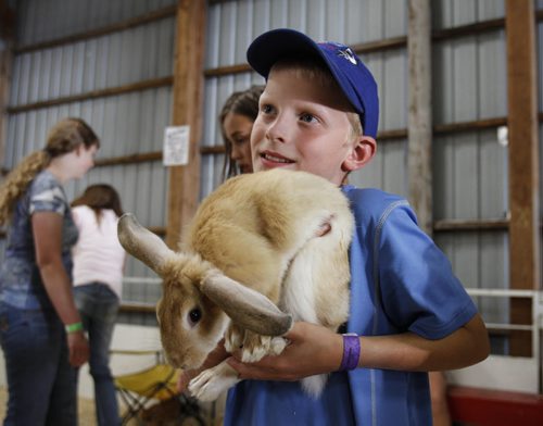 Eight year old Emil Flach shows gets cozy with a rabbit at the petting zoo at the Manitoba Stampede and Exhibition grounds, which celebrates its 50th year this weekend. Friday, July 19, 2013. (JESSICA BURTNICK/WINNIPEG FREE PRESS)