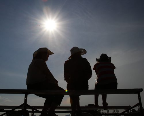Cowgirls sit together on the show ring stands beneath the late day sun as day 2 of the Manitoba Stampede and Exhibition gets underway. Friday, July 19, 2013. (JESSICA BURTNICK/WINNIPEG FREE PRESS)