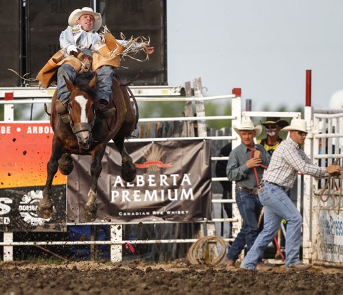 A cowboy gets a wild ride during the bareback competition in the rodeo arena. The Manitoba Stampede and Exhibition celebrates its 50th year this weekend. Friday, July 19, 2013. (JESSICA BURTNICK/WINNIPEG FREE PRESS)