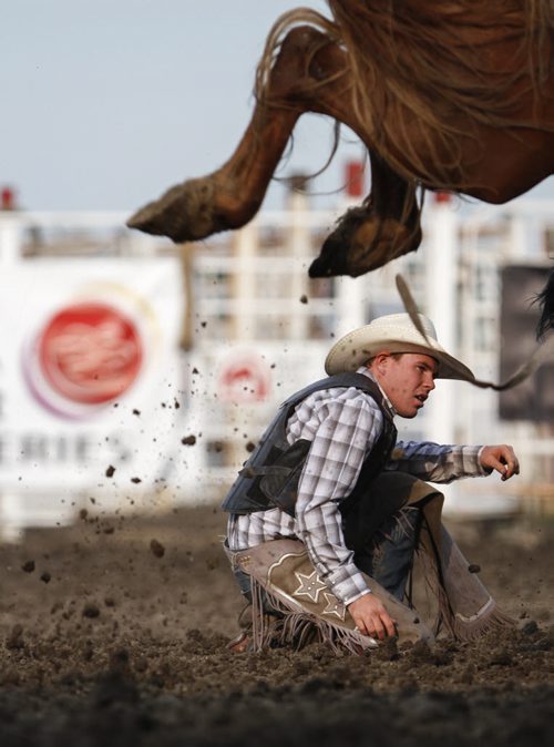 Saddlebronc competitor Chad Thomson of Black Diamond, Alta. takes a tumble after the dismount from Flight Plan. The Manitoba Stampede and Exhibition celebrates its 50th year this weekend. Friday, July 19, 2013. (JESSICA BURTNICK/WINNIPEG FREE PRESS)