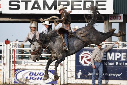 Justin Berg of Wainwright, Alta. atop Mucho Dinero at the Manitoba Stampede and Exhibition during the saddlebronc competition. The stampede celebrates its 50th year this weekend. Friday, July 19, 2013. (JESSICA BURTNICK/WINNIPEG FREE PRESS)