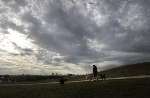 For possible use in "silhouettes of the hill" photo page at  Westview Park AKA Garbage Hill in Winnipeg. Photo walking with dogs on Westview Park Tuesday morning. Wayne Glowacki/Winnipeg Free Press July 23 2013