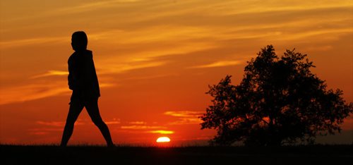 A silhouette on Garbage Hill in Winnipeg Tuesday, July 23, 2013.  (John Woods/Winnipeg Free Press)