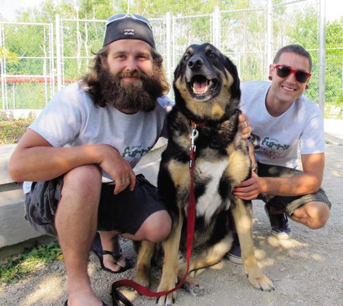 Canstar Community News 16 JULY, 2013- Chris Mitton, left, Boomer, and Quinn Nitychoruk are organizing Getting Furry for Furry Friends. Mitton will be sacrificing his face to grow out his beard with a goal to raise $10,000 in one year for the Winnipeg Humane Society. On Saturday, July 27 from 10 a.m. to 4 p.m. Mitton, Nitychoruk, and some furry visitors from the Human Society will be at Princess Auto, 515 Panet Rd.  for a barbeque, music, face painting, and balloon animals in hopes of raising money. T-shirts will also be for sale one for $25 or two for $35, all proceeds going to the Humane Society. Boomer is an eight-year-old Shepard Mix up for adoption at the Society, 45 Hurst Way. (STEPH CROSIER/ CANSTAR NEWS)