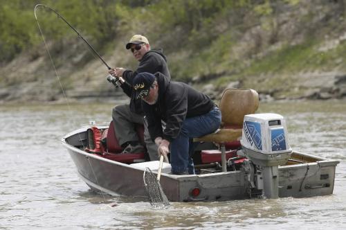 John Woods / Winnipeg Free Press / May 12/07- 070512  - Fishermen reel in a big catfish on the opening day of fishing season at Lockport Saturday May 12/07.