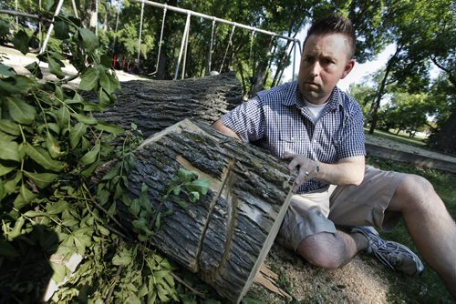 July 28, 2013 - 130728  -  Jason Booth is photographed in Fraser's Grove Park with a tree trunk that has  suspicious cuts in it Sunday, July 28, 2013. Booth discovered the cuts in the tree when he was playing with his son on the nearby swings. The city has cut the tree down for safety reasons. The park has been a target for several incidents of vandalism. John Woods / Winnipeg Free Press