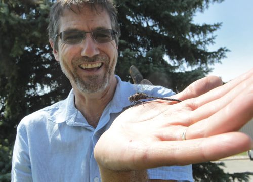 In Conversation. 49.8 Jim Duncan is leading the annual dragonfly survey, in photo he has a Variable Darner on his hand. This is  one of the largest species of dragonflys in the Manitoba.  Wayne Glowacki / Winnipeg Free Press July 29 2013