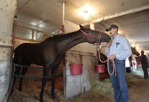 Sports. In the stable at the Assiniboia Downs, Jim Meyaard with his horse It's All Here. It  is considered to be the local favourite for the Manitoba Derby, having won the Prep race Harry Jeffery Stakes on July 17. Al Besson story Wayne Glowacki / Winnipeg Free Press July 30 2013