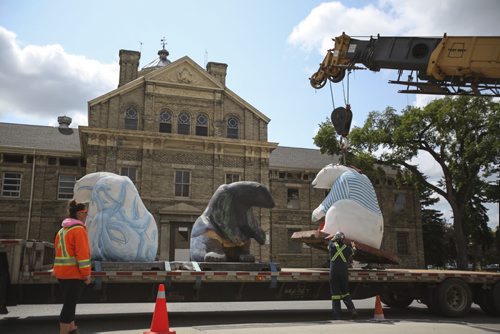 CancerCare bears on the move. Both polar bear sculptures located at York and Vaughn St., as well as several located behind the Manitoba Legislature along Assiniboine Dr., were removed today and transported to a new home.  Wednesday, July 31, 2013. (JESSICA BURTNICK/WINNIPEG FREE PRESS)