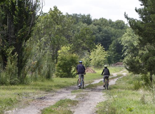 A pair of cyclists pass through Henteleff Park. If one were to pass by, he or she might not even notice the park at 1964 St. Mary's Rd., as it appears to be only a blip of unruly shrubbery and trees. But within its boundaries, the park protects a riparian forest rich in plants, birds, bugs and other wildlife. Wednesday, July 31, 2013. (JESSICA BURTNICK/WINNIPEG FREE PRESS)