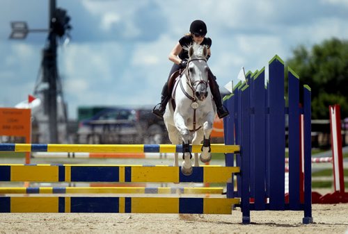 Jennifer Dupuis aboard Raccon, clears a jump in competition at "Heart of the Nation" a Equestrian Jumping competition on all weekend at the Exhibition grounds. STAND UP  August 2, 2013 - (Phil Hossack / Winnipeg Free Press)