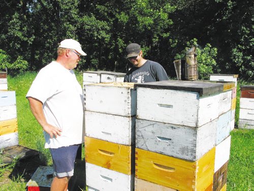Canstar Community News July 24, 2013 - Bee keeper Phil Veldhuis (left) and assistant Marcus Wiens prepare to harvest the summer's first honey and divide up the bee colonies at Veldhuis' hives near Starbuck. (ANDREA GEARY/CANSTAR)